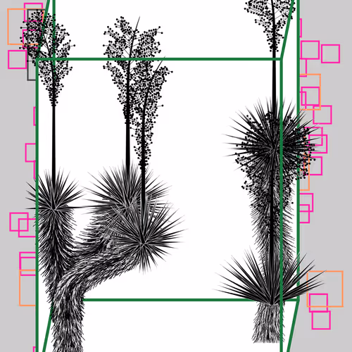 Marfa Yucca By Daniel Calderon Arenas