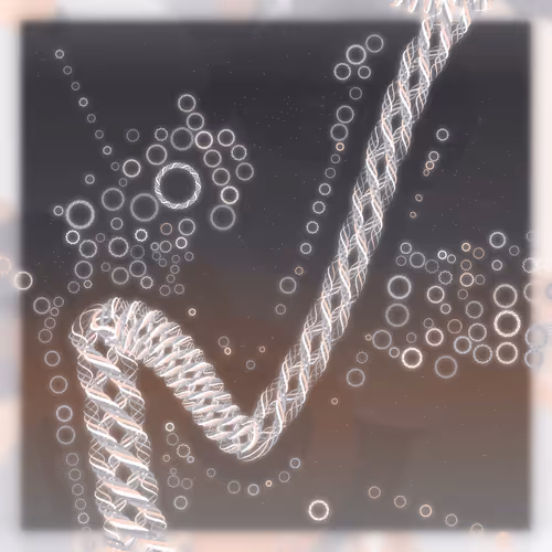 Friendship Bracelets By Alexis Andre