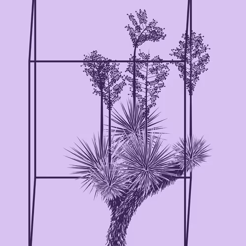Marfa Yucca By Daniel Calderon Arenas