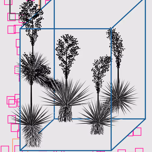 Marfa Yucca By Daniel Calderon Arenas