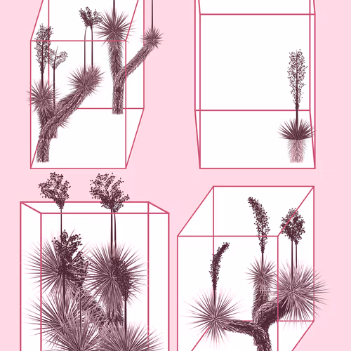 Marfa Yucca By Daniel Calderon Arenas