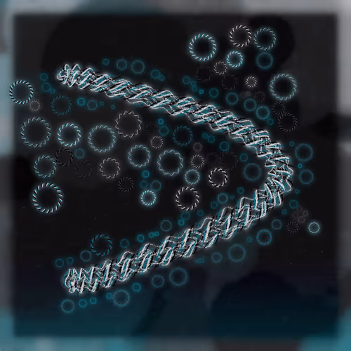 Friendship Bracelets By Alexis Andre