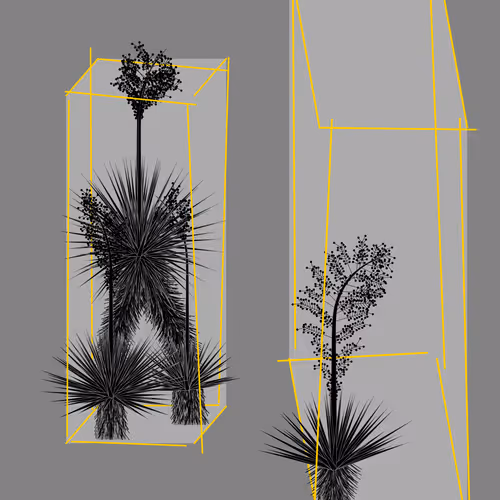 Marfa Yucca By Daniel Calderon Arenas