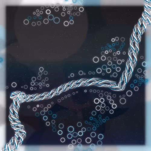 Friendship Bracelets By Alexis Andre