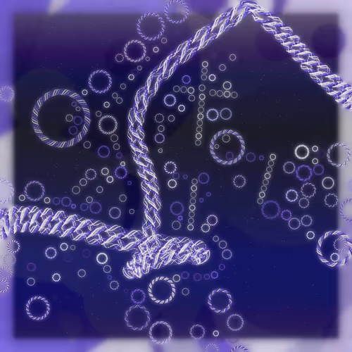 Friendship Bracelets By Alexis Andre