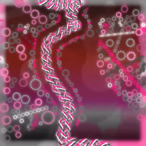 Friendship Bracelets By Alexis Andre