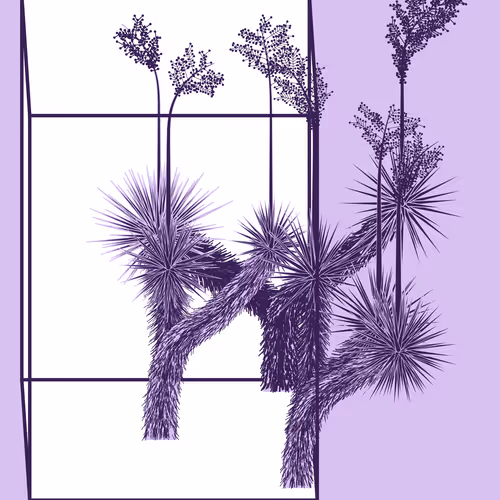 Marfa Yucca By Daniel Calderon Arenas