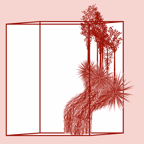 Marfa Yucca #67