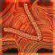 7664