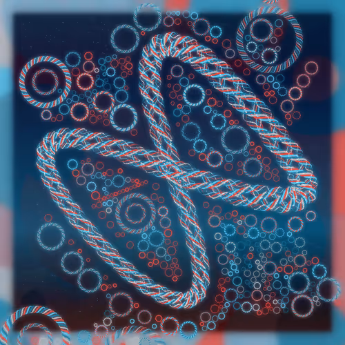 Friendship Bracelets By Alexis Andre