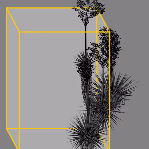 Marfa Yucca By Daniel Calderon Arenas