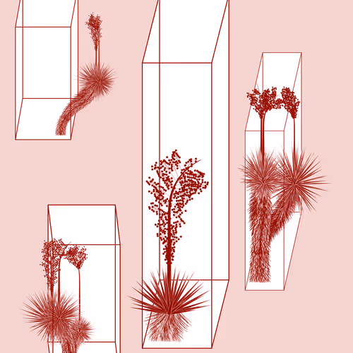 Marfa Yucca By Daniel Calderon Arenas