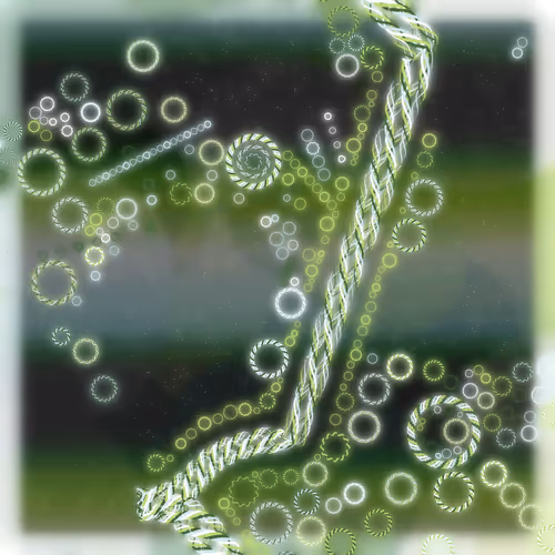 Friendship Bracelets By Alexis Andre