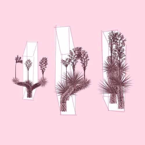 Marfa Yucca #27