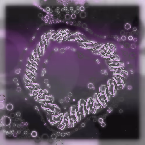 Friendship Bracelets By Alexis Andre