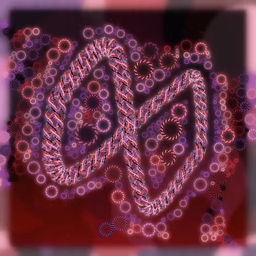 Friendship Bracelets By Alexis Andre