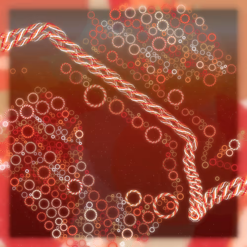 Friendship Bracelets By Alexis Andre