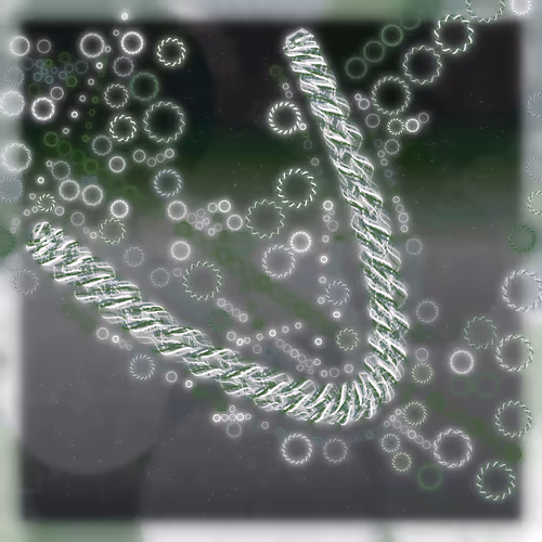 Friendship Bracelets By Alexis Andre