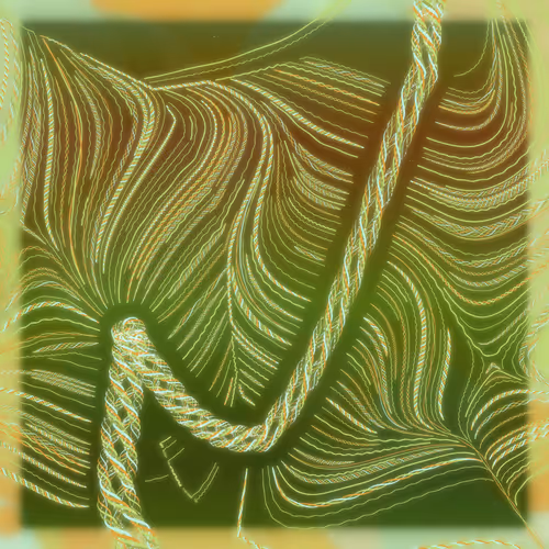 Friendship Bracelets By Alexis Andre