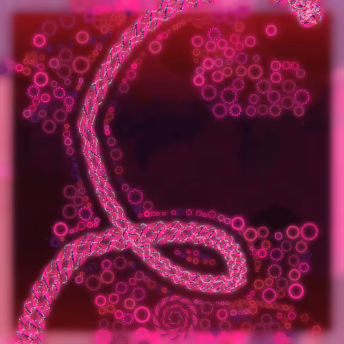 Friendship Bracelets By Alexis Andre