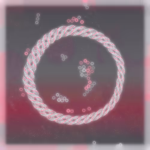 Friendship Bracelets By Alexis Andre