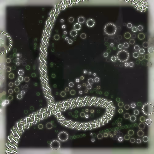 Friendship Bracelets By Alexis Andre