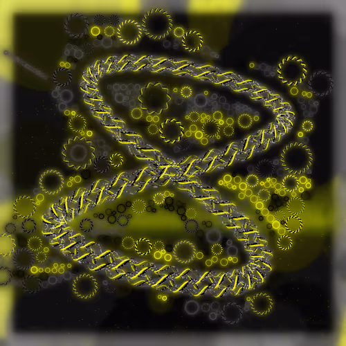 Friendship Bracelets By Alexis Andre