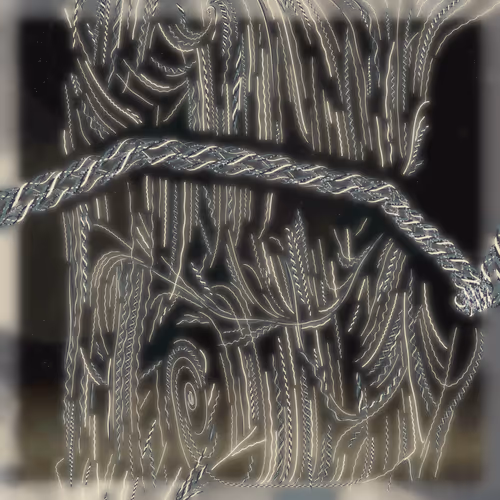 Friendship Bracelets By Alexis Andre