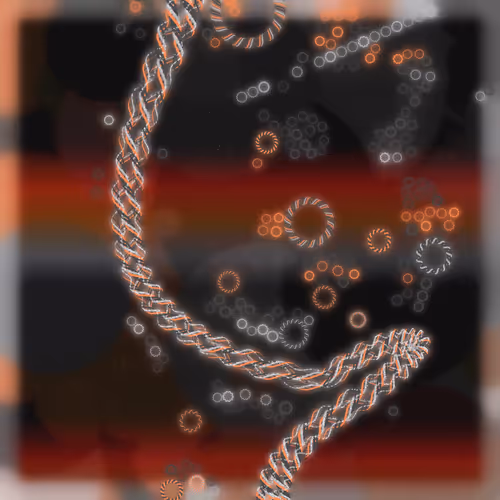 Friendship Bracelets By Alexis Andre