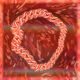 32966
