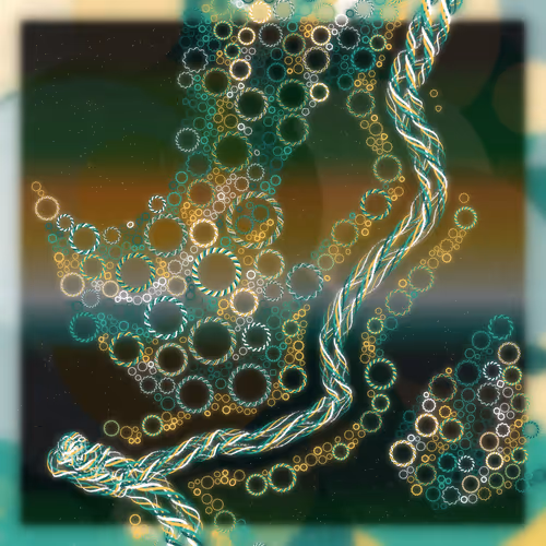 Friendship Bracelets By Alexis Andre