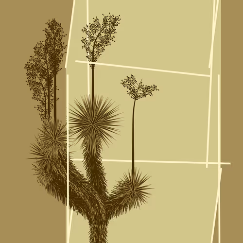 Marfa Yucca #125