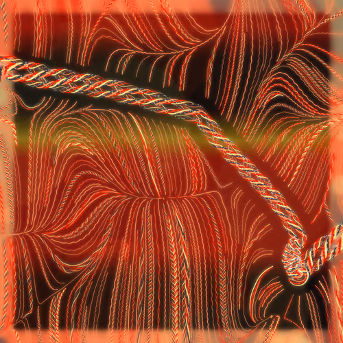 Friendship Bracelets By Alexis Andre