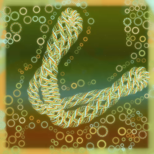 Friendship Bracelets By Alexis Andre