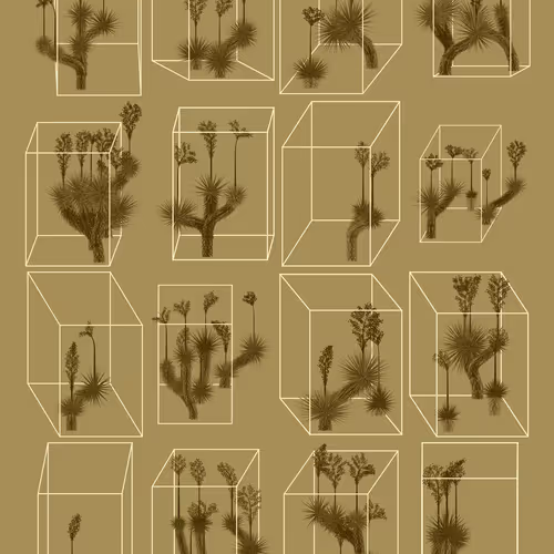 Marfa Yucca By Daniel Calderon Arenas