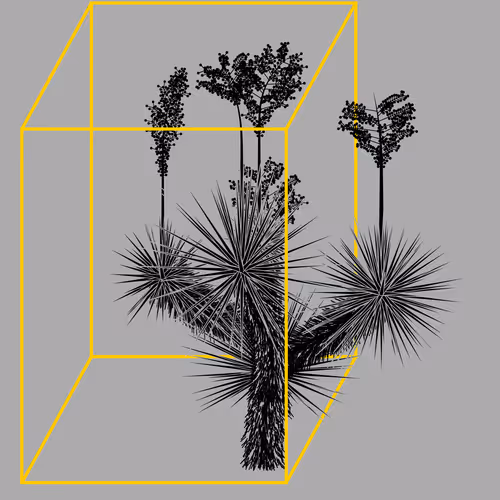 Marfa Yucca By Daniel Calderon Arenas