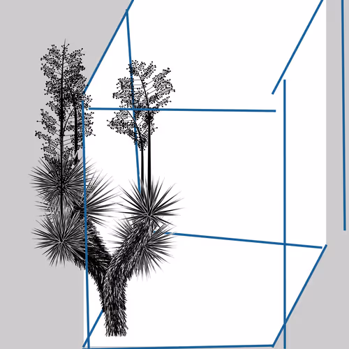 Marfa Yucca #122