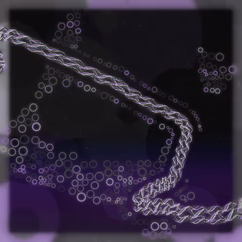 Friendship Bracelets By Alexis Andre
