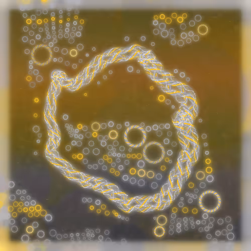 Friendship Bracelets By Alexis Andre