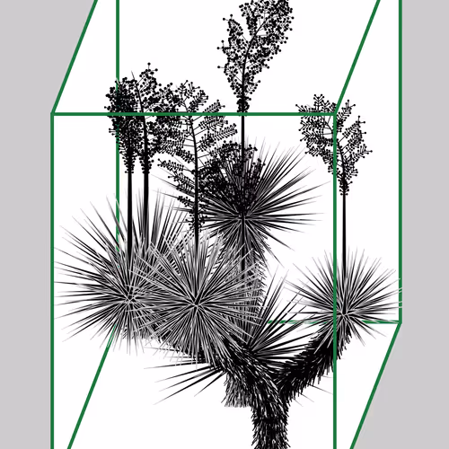 Marfa Yucca By Daniel Calderon Arenas