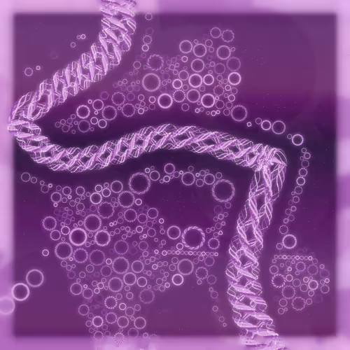 Friendship Bracelets By Alexis Andre