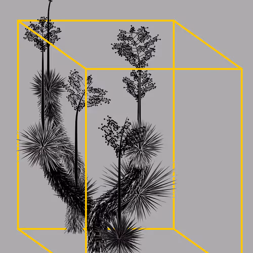 Marfa Yucca By Daniel Calderon Arenas