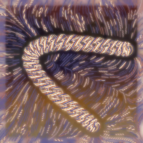 Friendship Bracelets By Alexis Andre
