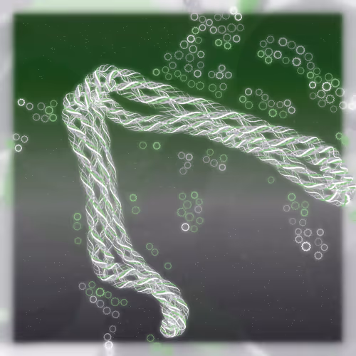 Friendship Bracelets By Alexis Andre