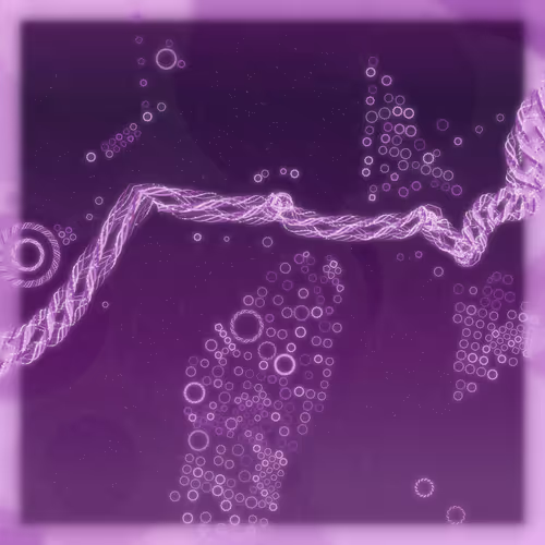 Friendship Bracelets By Alexis Andre