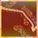 Friendship Bracelets #20539