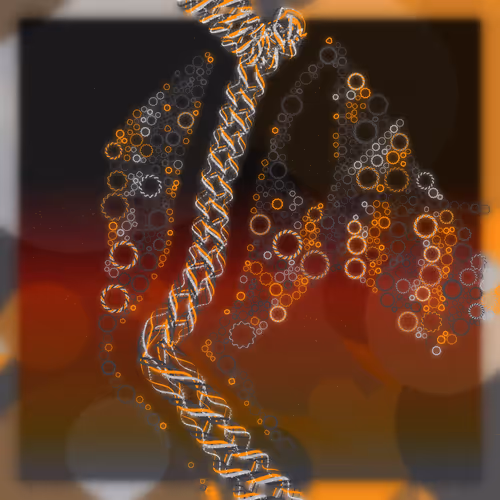 Friendship Bracelets By Alexis Andre