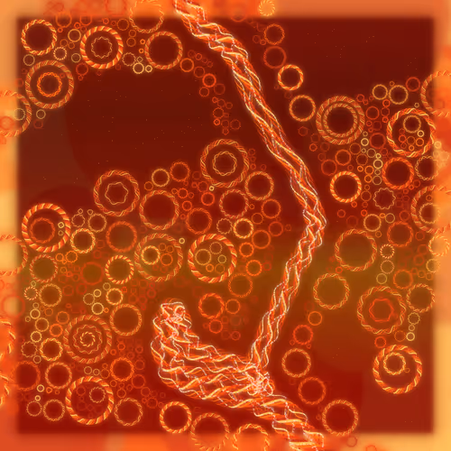 Friendship Bracelets By Alexis Andre