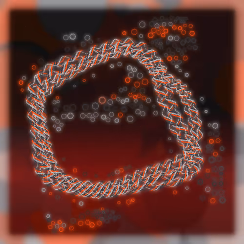 Friendship Bracelets By Alexis Andre