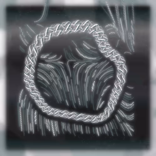 Friendship Bracelets By Alexis Andre